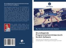 Grundlegende Programmierkenntnisse durch Scratch Software kitap kapağı