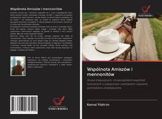 Borítókép a  Wspólnota Amiszów i mennonitów - hoz