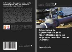 Bookcover of Estrategias de supervivencia en la hiperinflación para las empresas manufactureras (Harare)
