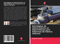 Couverture de Estratégias de Sobrevivência na Hiperinflação para Empresas de Fabrico (Harare)