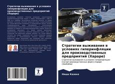 Borítókép a  Стратегии выживания в условиях гиперинфляции для производственных предприятий (Хараре) - hoz