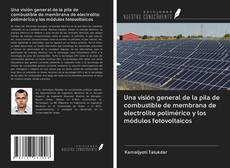 Bookcover of Una visión general de la pila de combustible de membrana de electrolito polimérico y los módulos fotovoltaicos