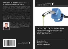 Copertina di CATALOGO DE ZEOLITAS: Una revisión de la producción de olefinas ligeras