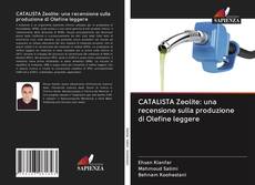Couverture de CATALISTA Zeolite: una recensione sulla produzione di Olefine leggere