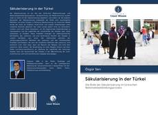 Säkularisierung in der Türkei kitap kapağı