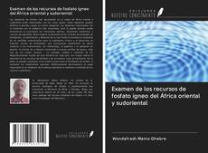 Capa do livro de Examen de los recursos de fosfato ígneo del África oriental y sudoriental 