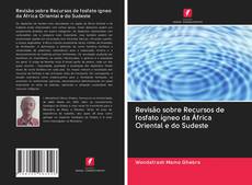 Revisão sobre Recursos de fosfato ígneo da África Oriental e do Sudeste kitap kapağı
