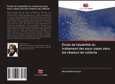 Bookcover of Étude de faisabilité du traitement des eaux usées dans les réseaux de collecte