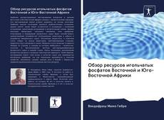 Buchcover von Обзор ресурсов игольчатых фосфатов Восточной и Юго-Восточной Африки