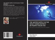 Buchcover von THE WATER SUPPLY IN THE WOLF TOWN DISTRICT IN PUERTO VELHA-RO