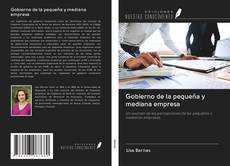 Bookcover of Gobierno de la pequeña y mediana empresa