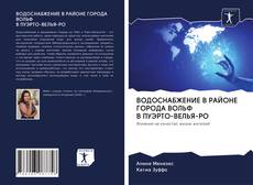 ВОДОСНАБЖЕНИЕ В РАЙОНЕ ГОРОДА ВОЛЬФ В ПУЭРТО-ВЕЛЬЯ-РО kitap kapağı