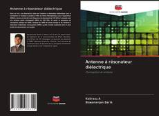 Buchcover von Antenne à résonateur diélectrique