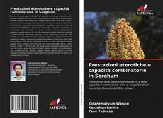 Bookcover of Prestazioni eterotiche e capacità combinatorie in Sorghum
