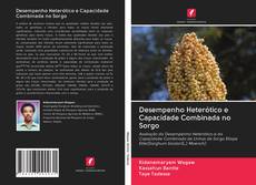 Bookcover of Desempenho Heterótico e Capacidade Combinada no Sorgo