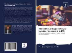 Bookcover of Панорамный вид эволюции звукового вещания в ДРК