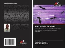 Bookcover of Uno studio in vitro