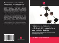 Обложка Mecanismo molecular de resistência à fluoroquinolona para isolados de M.tb