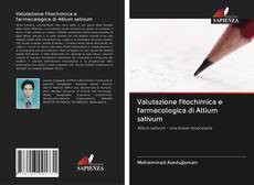 Borítókép a  Valutazione fitochimica e farmacologica di Allium sativum - hoz