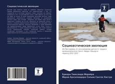 Couverture de Социоастическая эволюция