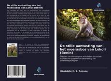 Copertina di De stille aantasting van het moerasbos van Lokoli (Benin)