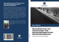 Musealisierung von literarischen und denkmalpflegerischen Nachlasskomplexen kitap kapağı