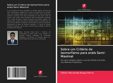 Bookcover of Sobre um Critério de Isomorfismo para anéis Semi-Maximal