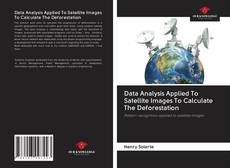 Buchcover von Data Analysis Applied To Satellite Images To Calculate The Deforestation