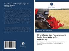Bookcover of Grundlagen der Finanzplanung in der Landwirtschafts- verwaltung