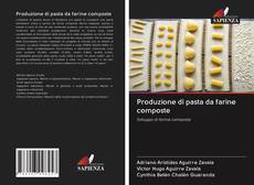 Buchcover von Produzione di pasta da farine composte