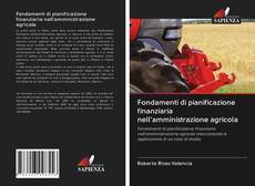 Bookcover of Fondamenti di pianificazione finanziaria nell'amministrazione agricola