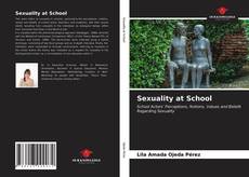 Sexuality at School的封面