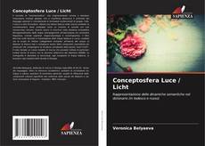 Borítókép a  Conceptosfera Luce / Licht - hoz