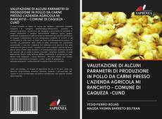 Bookcover of VALUTAZIONE DI ALCUNI PARAMETRI DI PRODUZIONE IN POLLO DA CARNE PRESSO L'AZIENDA AGRICOLA MI RANCHITO - COMUNE DI CAQUEZA -CUND