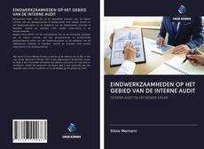 Copertina di EINDWERKZAAMHEDEN OP HET GEBIED VAN DE INTERNE AUDIT