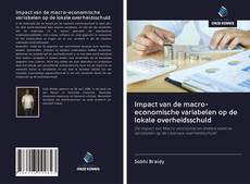 Copertina di Impact van de macro-economische variabelen op de lokale overheidsschuld