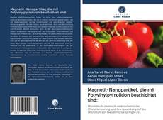 Обложка Magnetit-Nanopartikel, die mit Polyvinylpyrrolidon beschichtet sind: