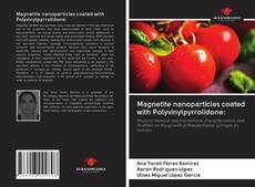 Capa do livro de Magnetite nanoparticles coated with Polyvinylpyrrolidone: 