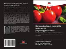 Bookcover of Nanoparticules de magnétite revêtues de polyvinylpyrrolidone :