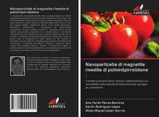 Bookcover of Nanoparticelle di magnetite rivestite di polivinilpirrolidone :