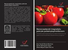 Borítókép a  Nanocząsteczki magnetytu pokryte poliwinylopirolidonem: - hoz