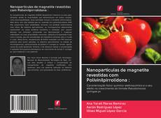 Bookcover of Nanopartículas de magnetite revestidas com Polivinilpirrolidona :