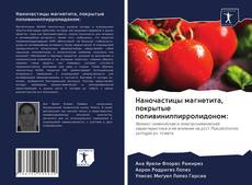 Bookcover of Наночастицы магнетита, покрытые поливинилпирролидоном: