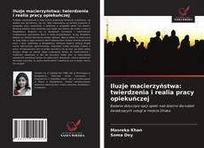 Bookcover of Iluzje macierzyństwa: twierdzenia i realia pracy opiekuńczej