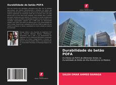 Buchcover von Durabilidade do betão POFA