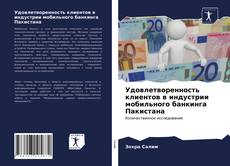 Обложка Удовлетворенность клиентов в индустрии мобильного банкинга Пакистана