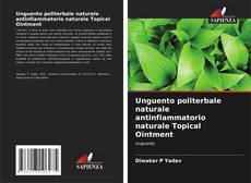 Bookcover of Unguento politerbale naturale antinfiammatorio naturale Topical Ointment