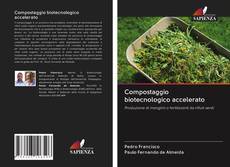 Обложка Compostaggio biotecnologico accelerato