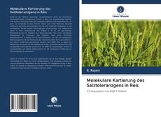 Capa do livro de Molekulare Kartierung des Salztoleranzgens in Reis 