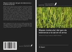 Bookcover of Mapeo molecular del gen de tolerancia a la sal en el arroz